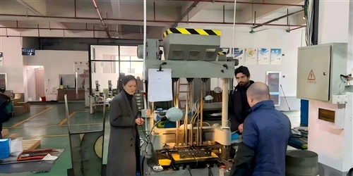 Küresel Müşteri Fabrika Ziyaretleri|Yerinde-Denetim ve İşbirliği İletişimi